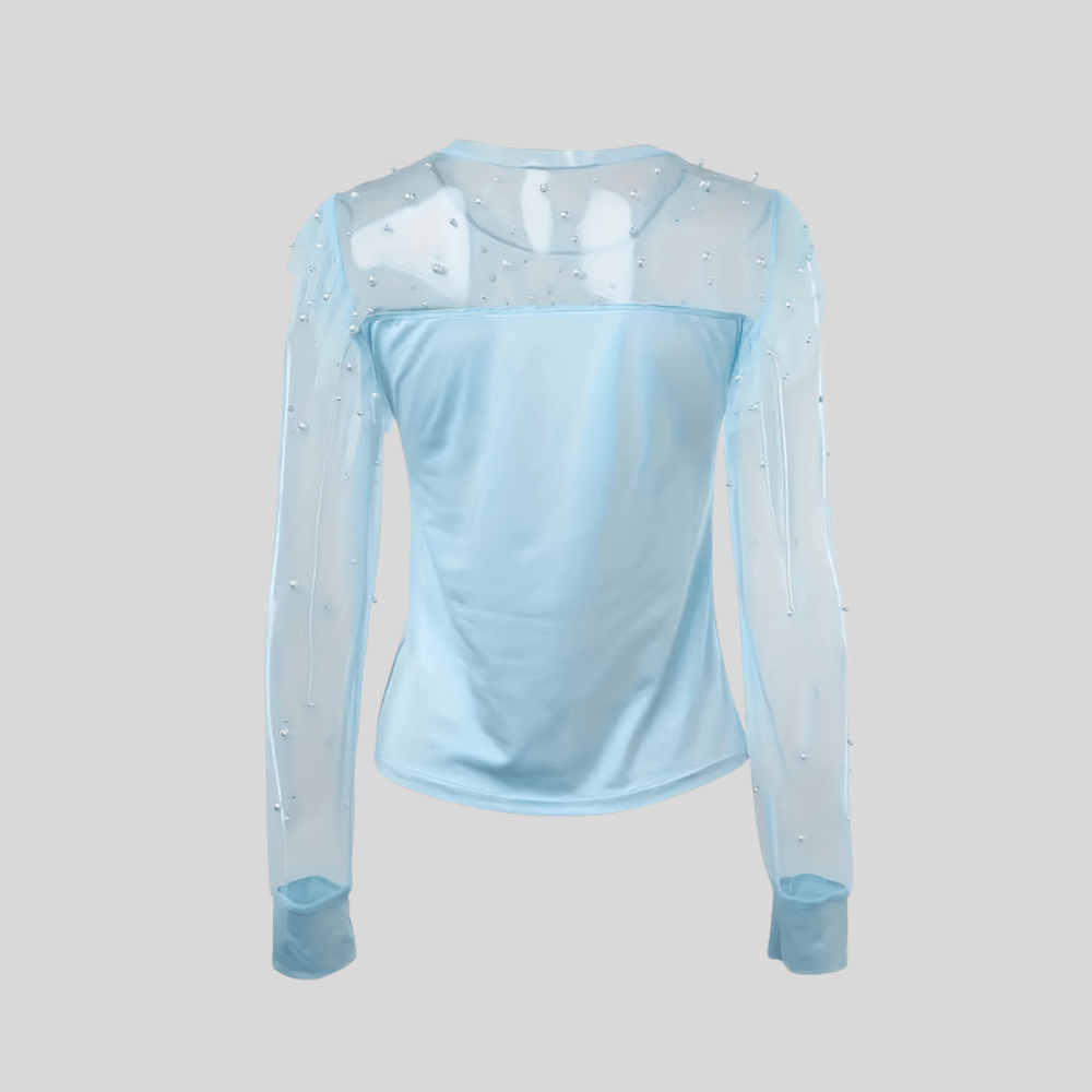Icy Mesh Top Long Sleeve