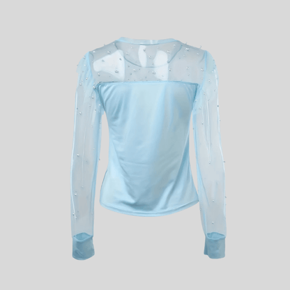 Icy Mesh Top Long Sleeve