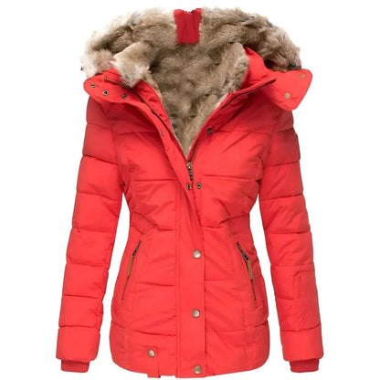Fitted Hooded Winter Jacket
