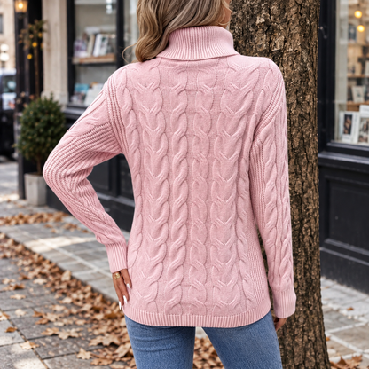 Long Sleeves Knit Turtleneck Sweater
