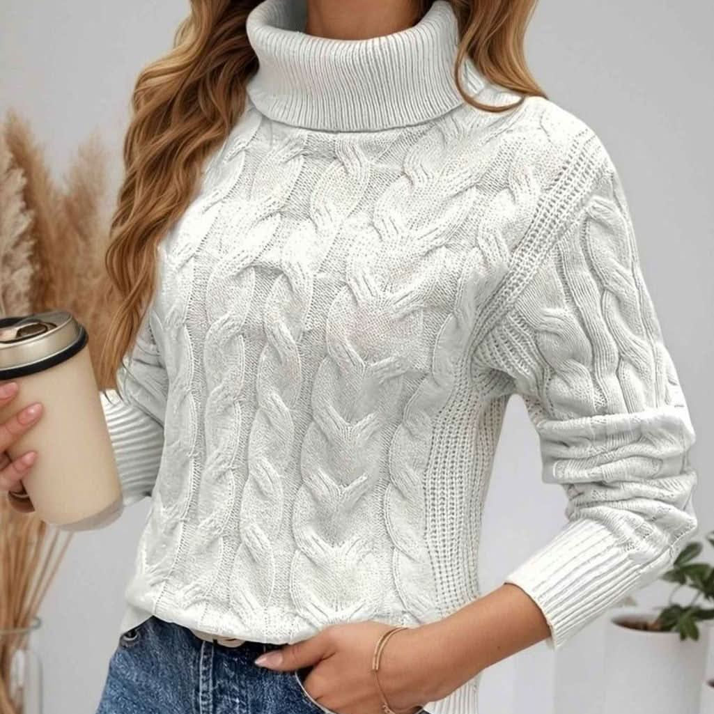 Long Sleeves Knit Turtleneck Sweater