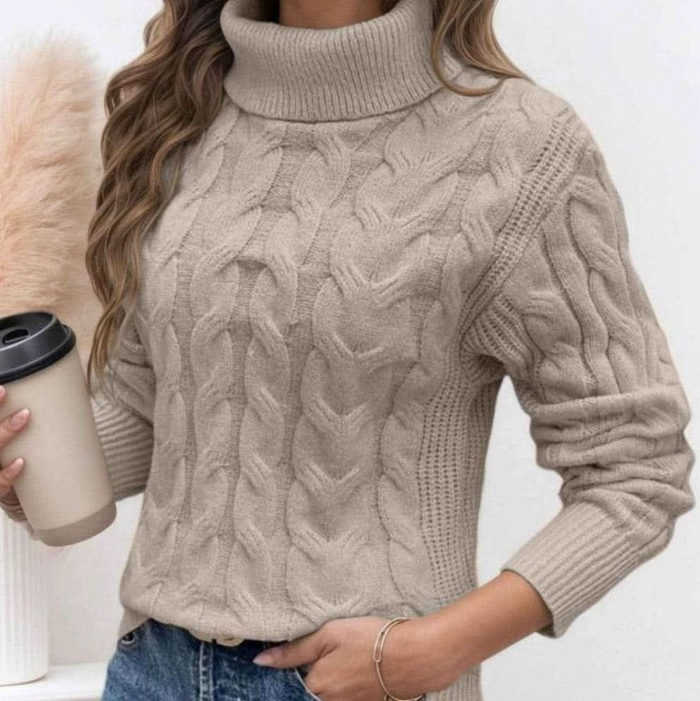 Long Sleeves Knit Turtleneck Sweater