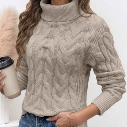 Long Sleeves Knit Turtleneck Sweater