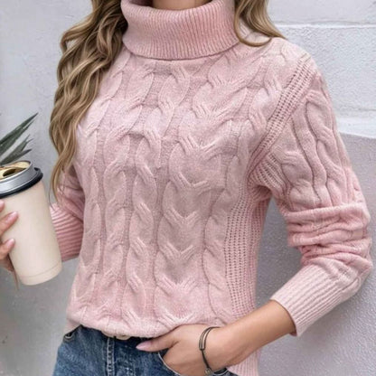 Long Sleeves Knit Turtleneck Sweater