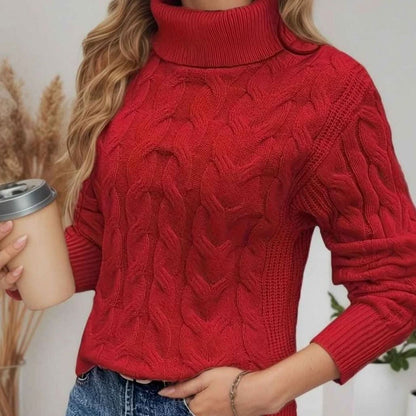 Long Sleeves Knit Turtleneck Sweater