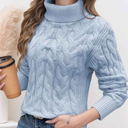 Long Sleeves Knit Turtleneck Sweater