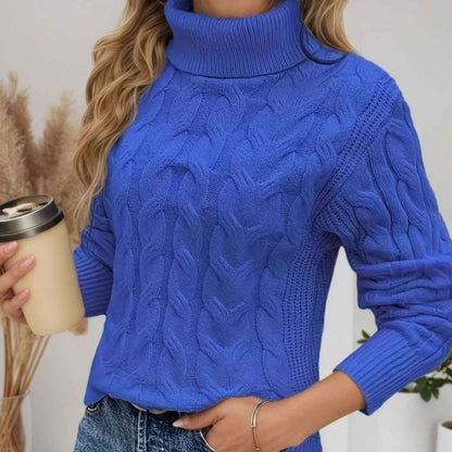Long Sleeves Knit Turtleneck Sweater